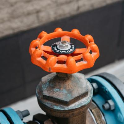 Markus Winkler 41 G2r0gz3s Unsplash